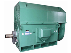 Y5008-8/630KWY系列6KV高压电机
