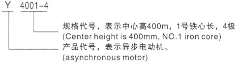 西安泰富西玛Y系列(H355-1000)高压Y5008-8/630KW三相异步电机型号说明